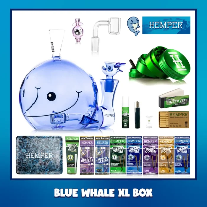 Blue Whale XL Bong Box