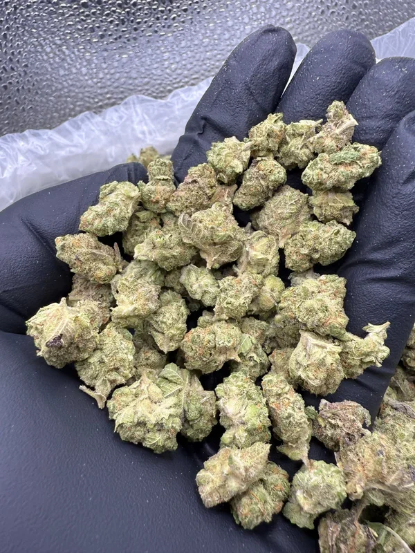 Dip N’ Stix Minis – Bulk Minis – Hybrid