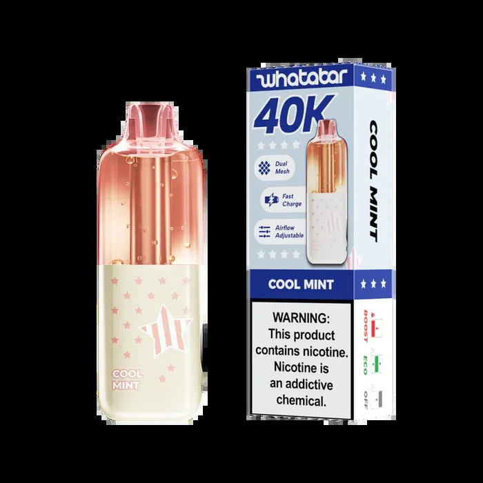 Whatabar Linko 40K – Cool Mint Disposable Vape